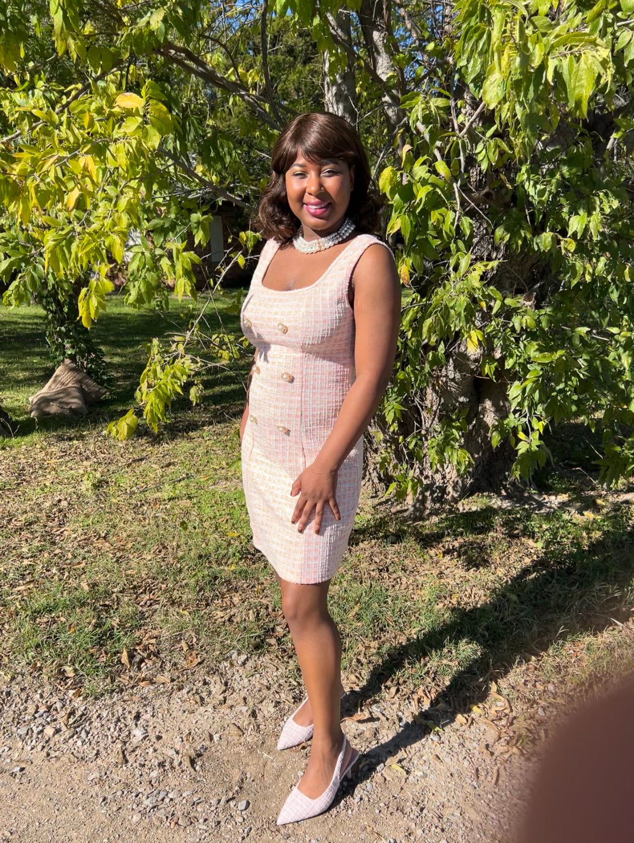Tweed Princess Dress